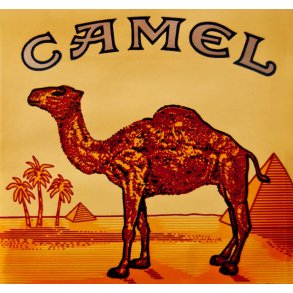 CAMEL