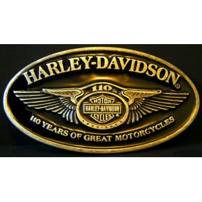 110 �RS JUBIL�UM