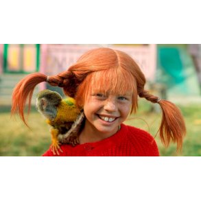 PIPPI