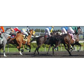 EMERALD DOWNS